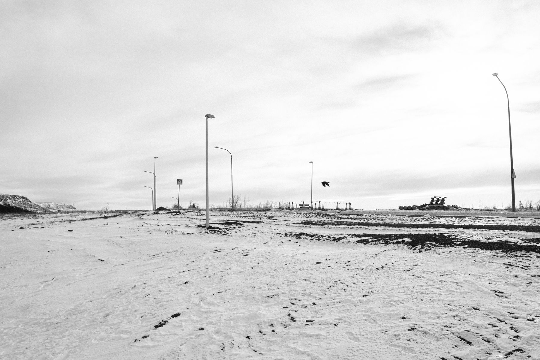 A raven flies over the road and the snowy landscape.