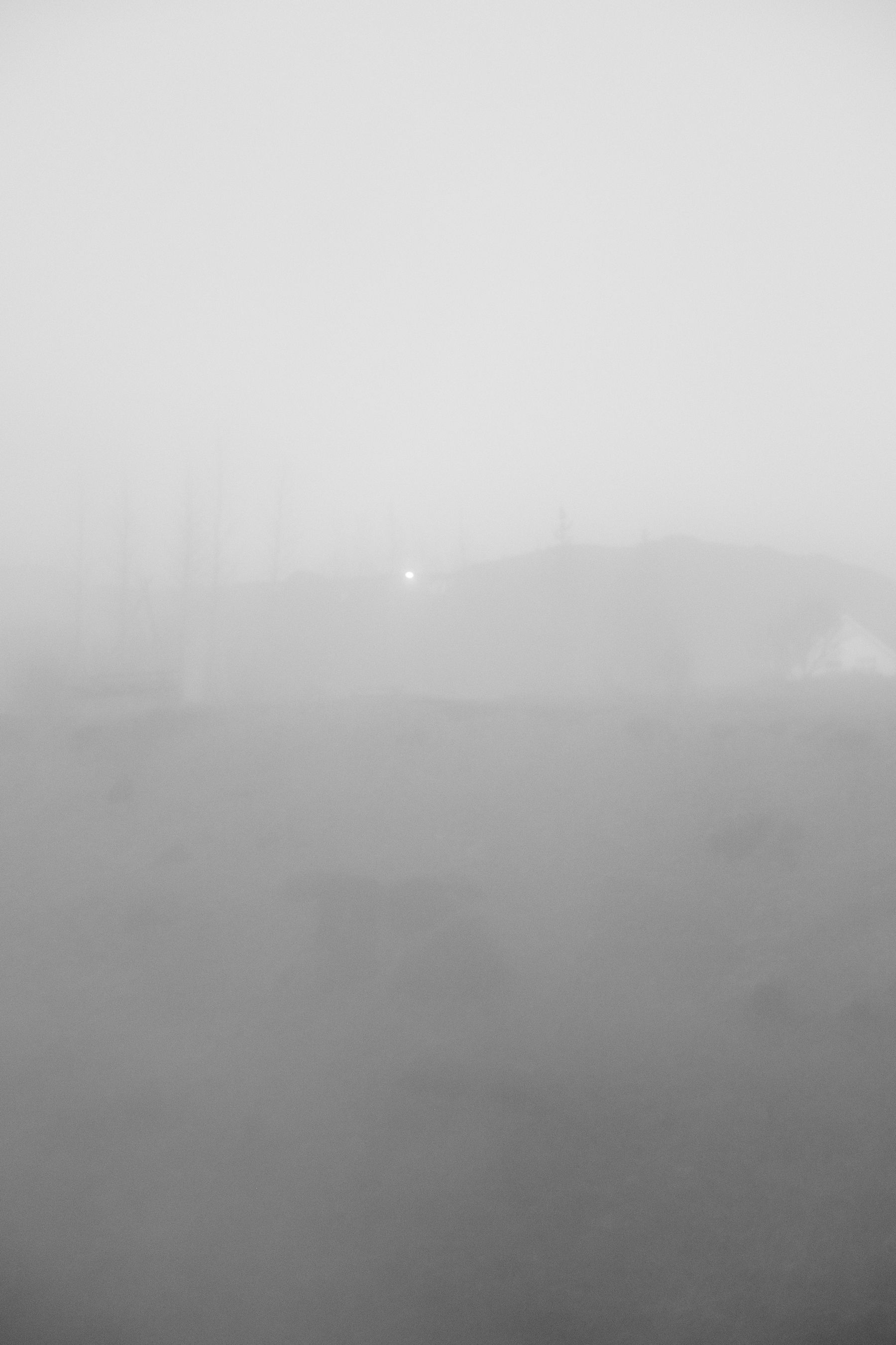 This one is almost nothing but fog. You can see a streetlight and the vague outlines of some trees.
