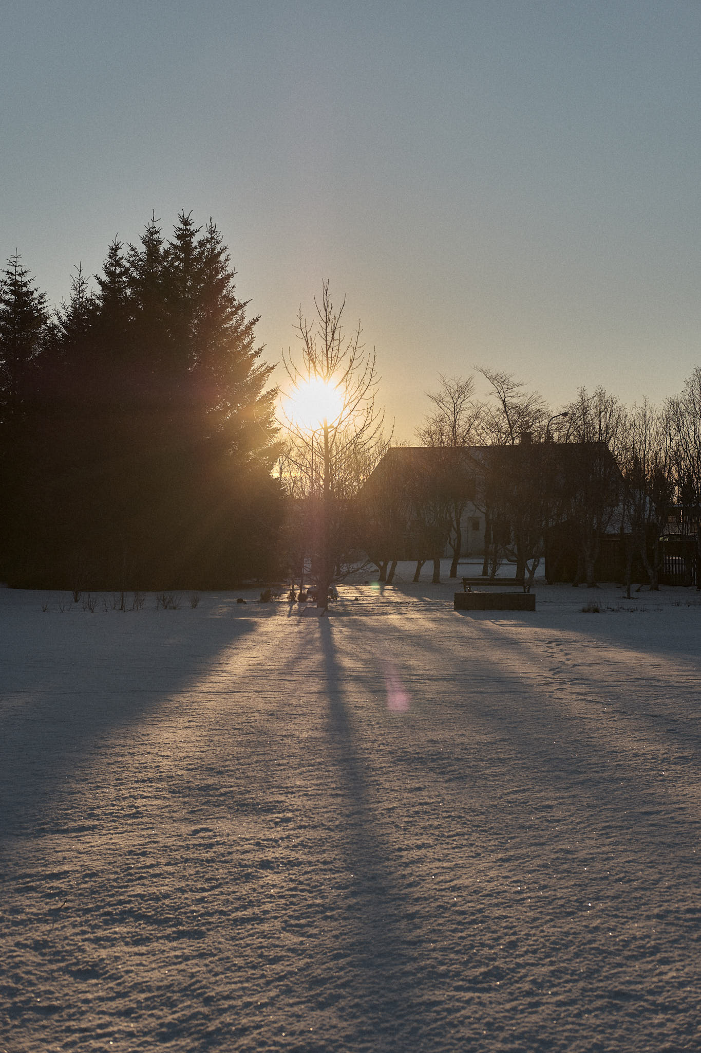 The sun sets in the local Hveragerði park