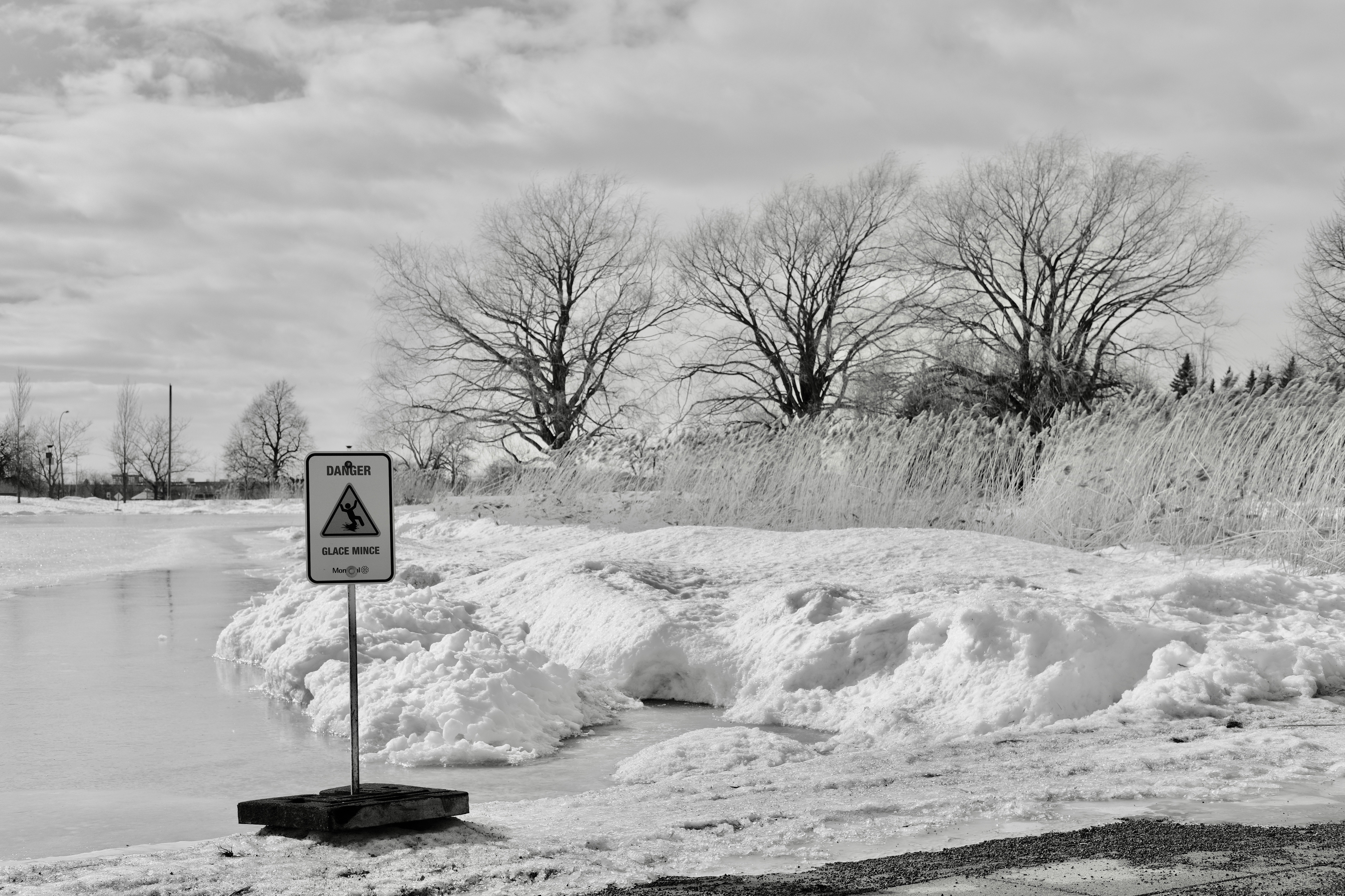 The sign on the pond in Parc Jarry with three trees in the background