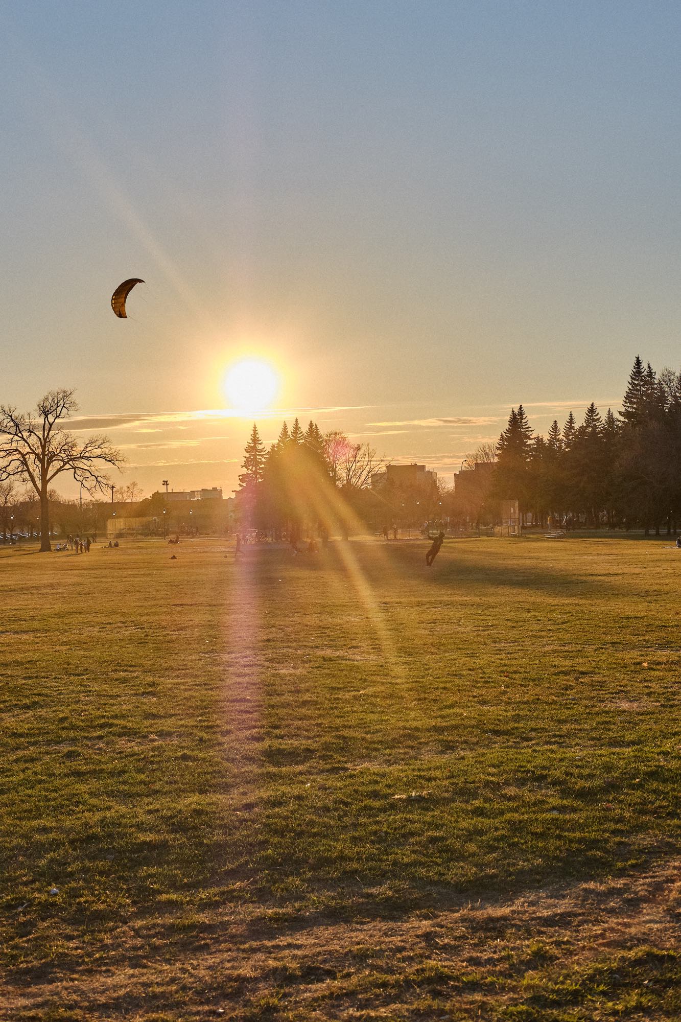 Somebody is flying a big kite-like thing in the park