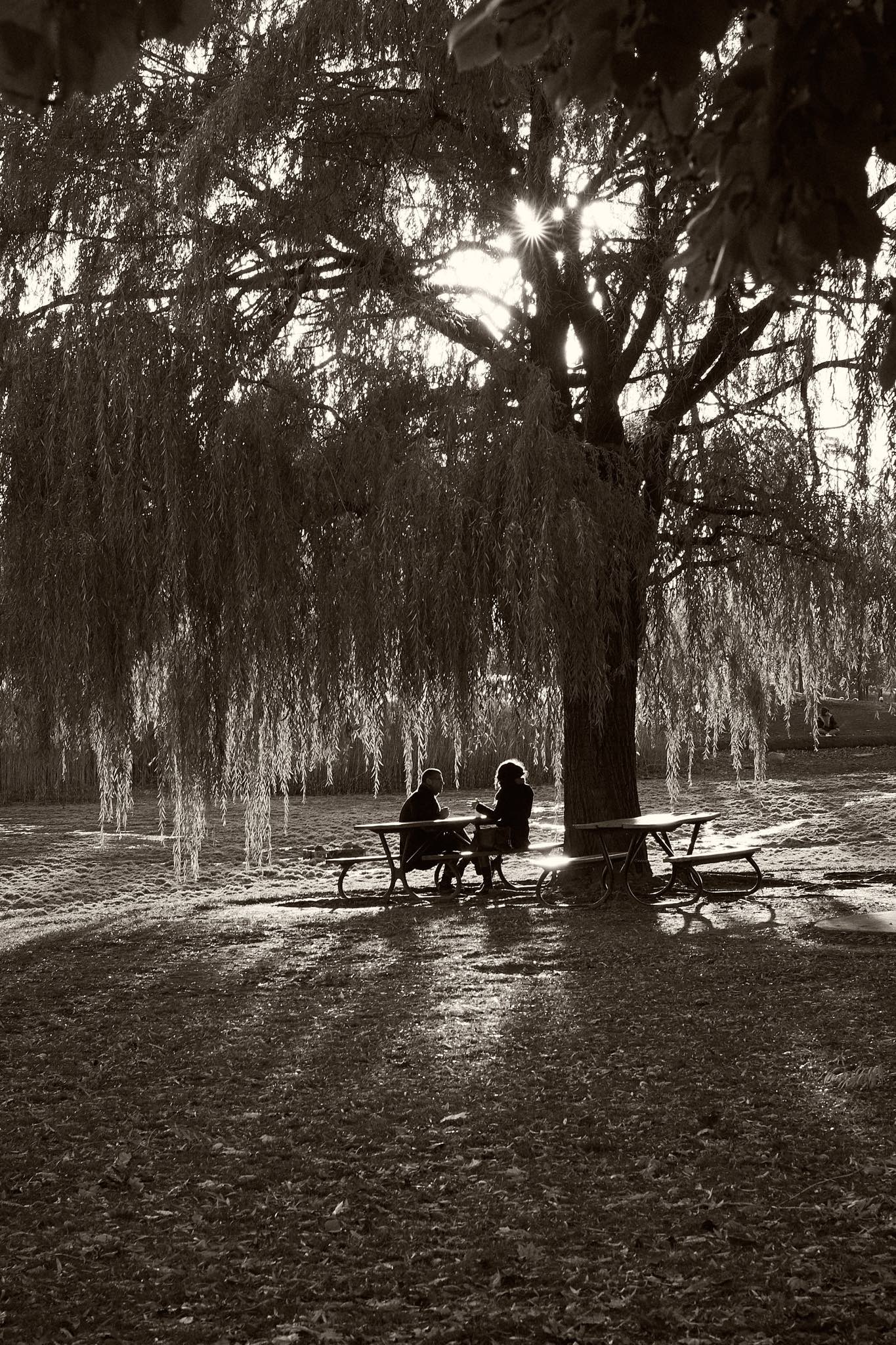 A couple talks in Parc Jarry - black and white