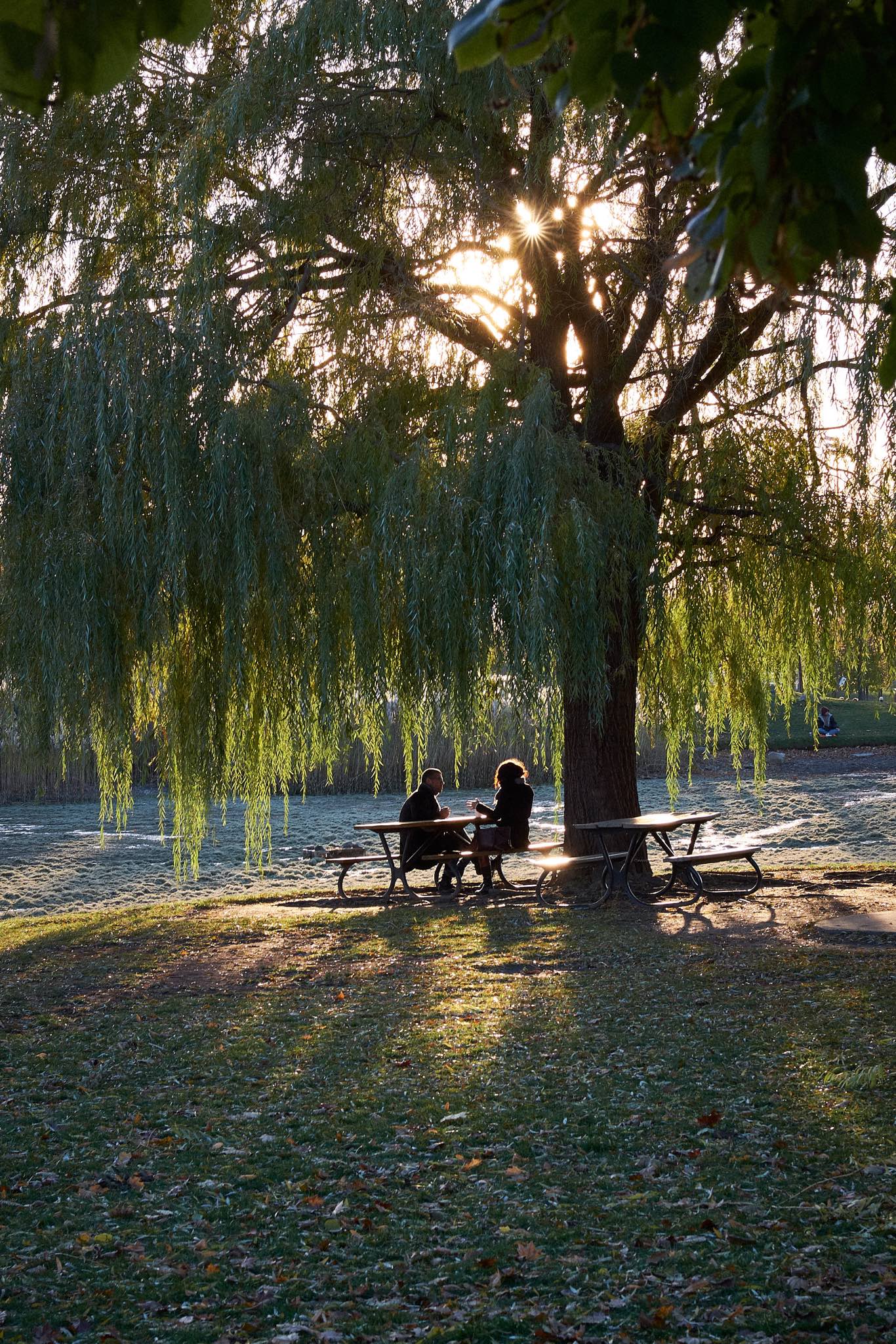 A couple talks in Parc Jarry - colour