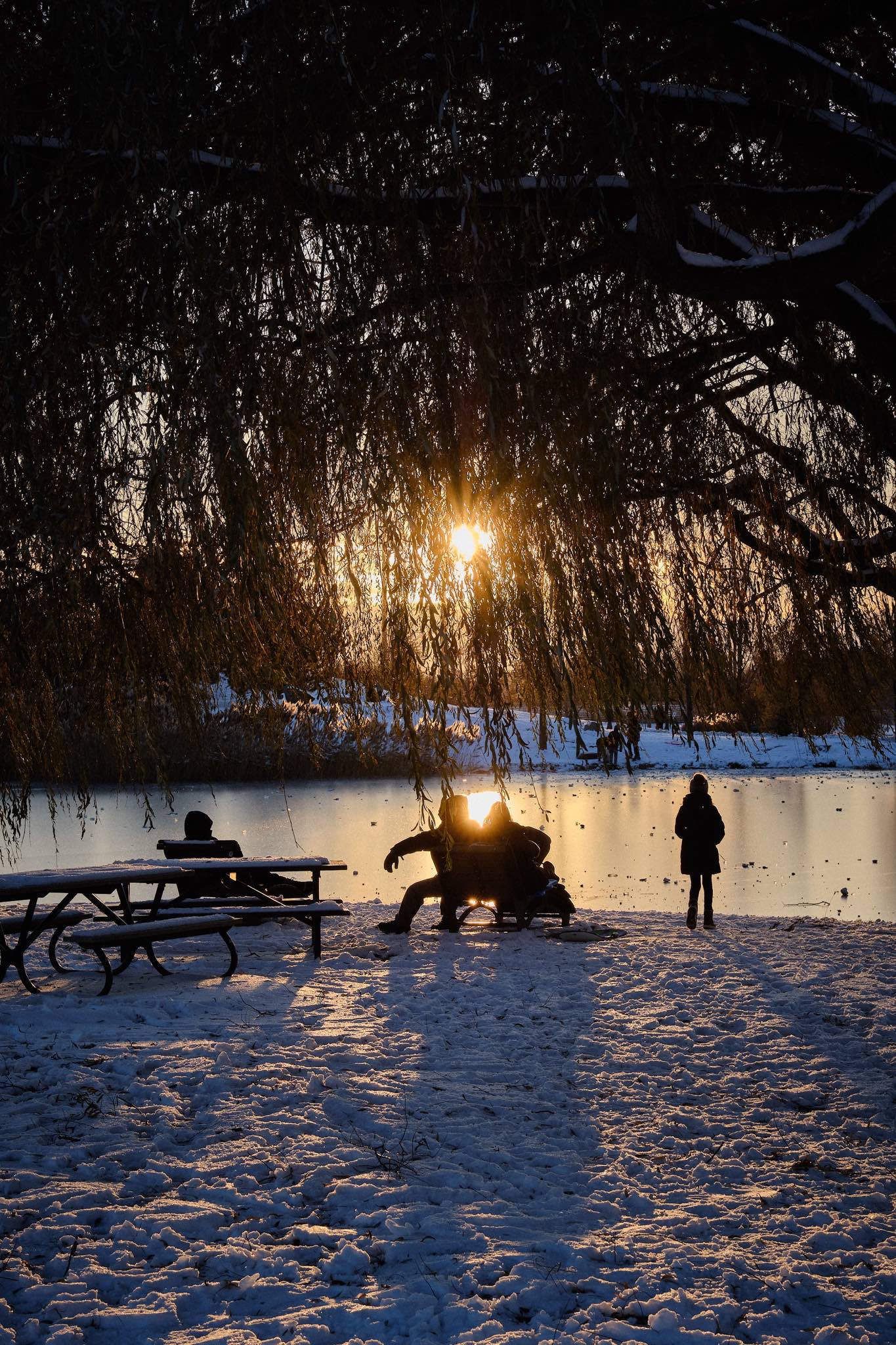 A silhouette of a family staring at the sunset - colour