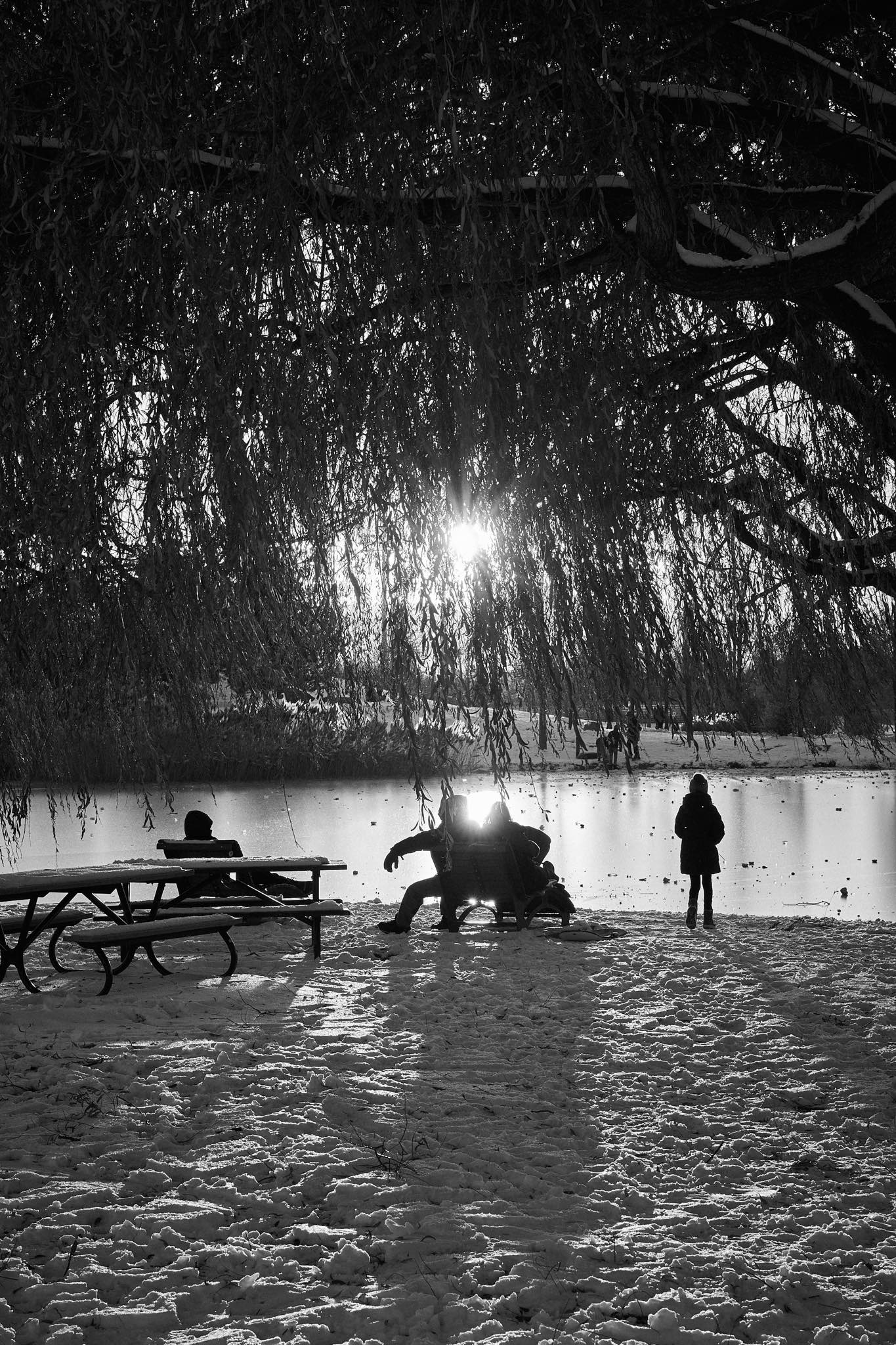 A silhouette of a family staring at the sunset - black and white