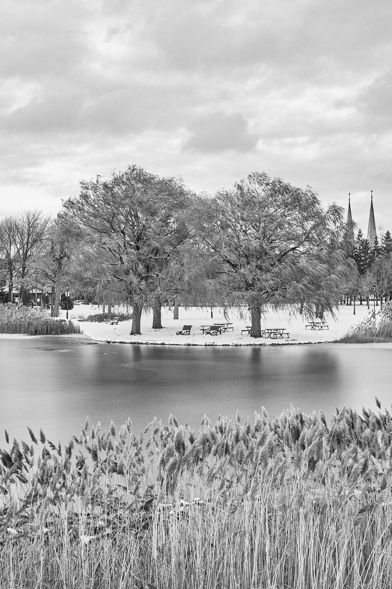 Snow-covered trees in Parc Jarry - black and white