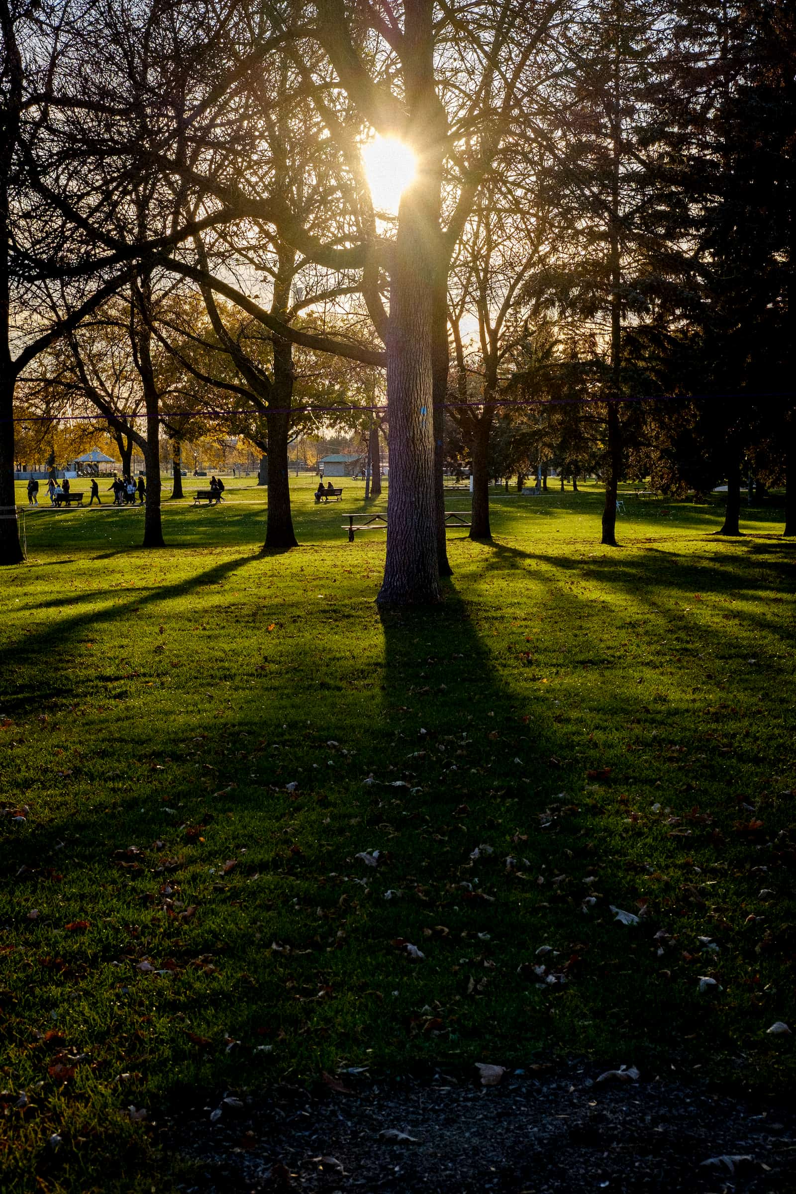 People sit on a bench in Parc Jarry and enjoy the autumn sunset