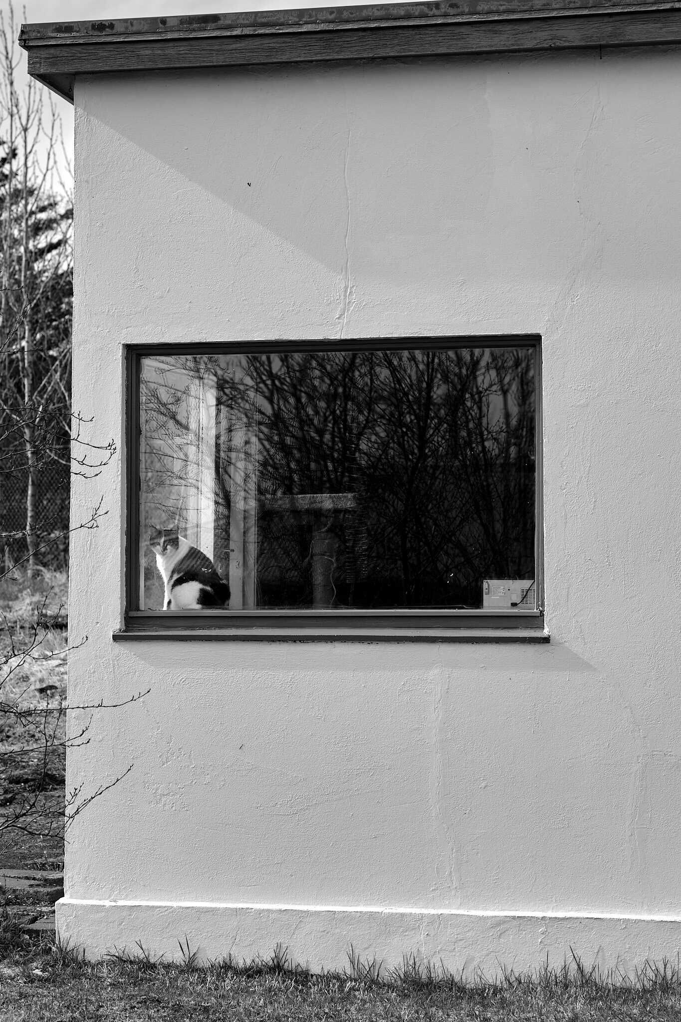 A black and white photo of a small house in Hveragerði. A cat sits in the window.
