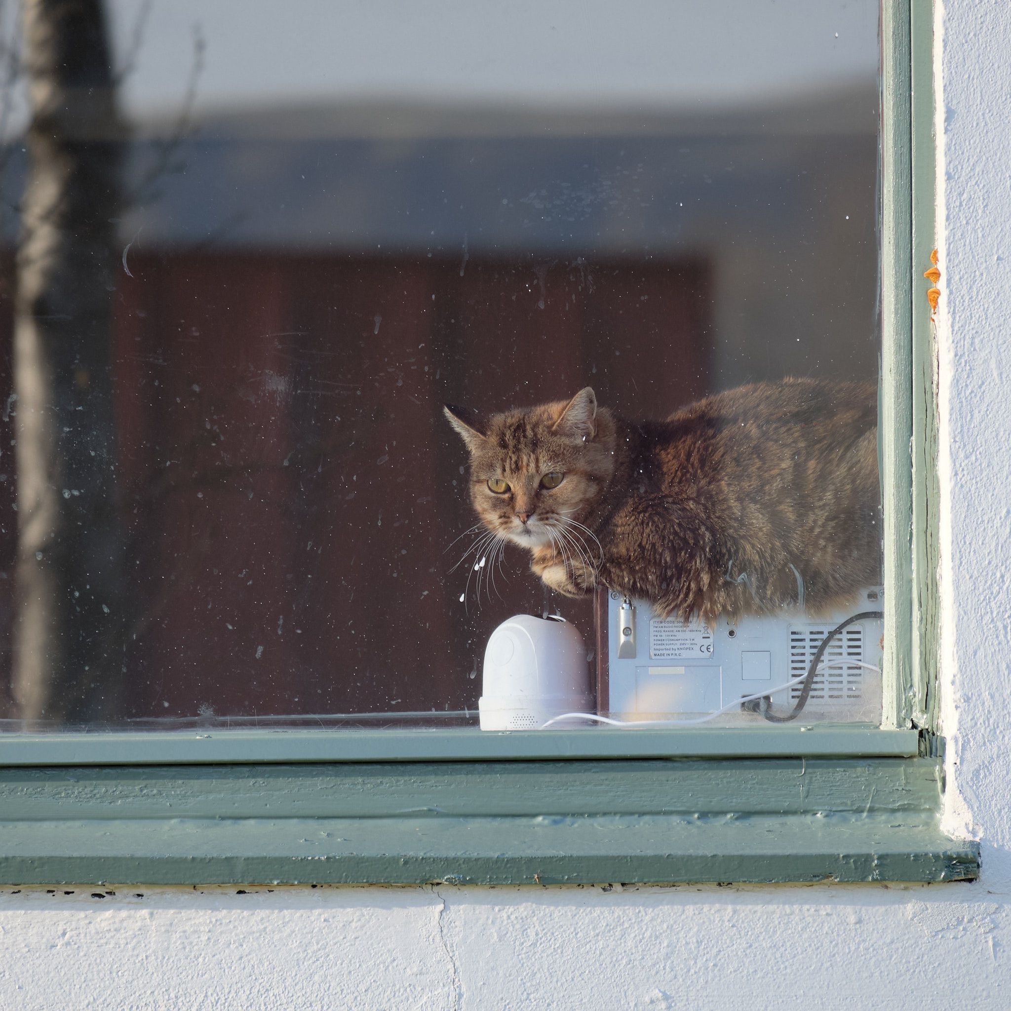 A grey striped cat loafs on top of a radio in a window.